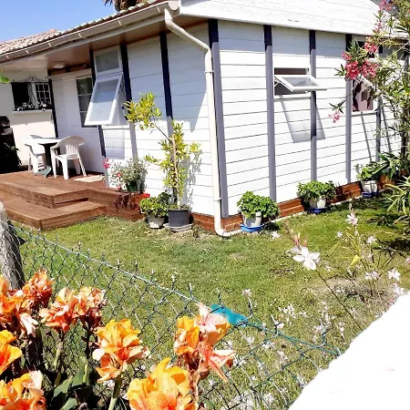 Chalet Holiday home *