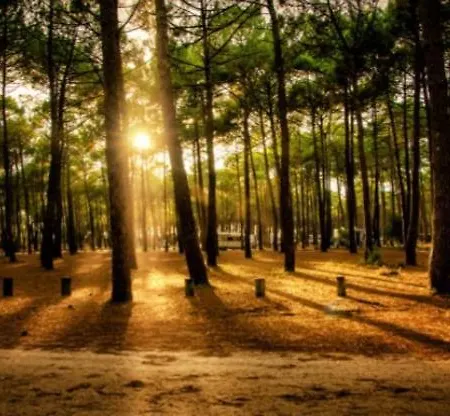 بيت للعطل Chalet