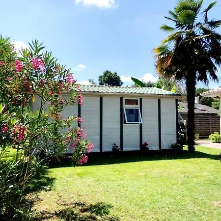 Chalet بيت للعطل Narrosse