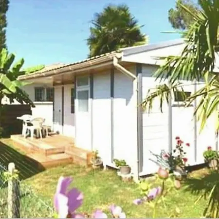 Chalet Semesterbostad