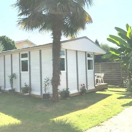 Chalet بيت للعطل Narrosse