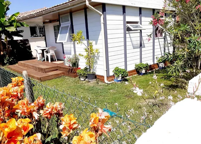 Chalet بيت للعطل *