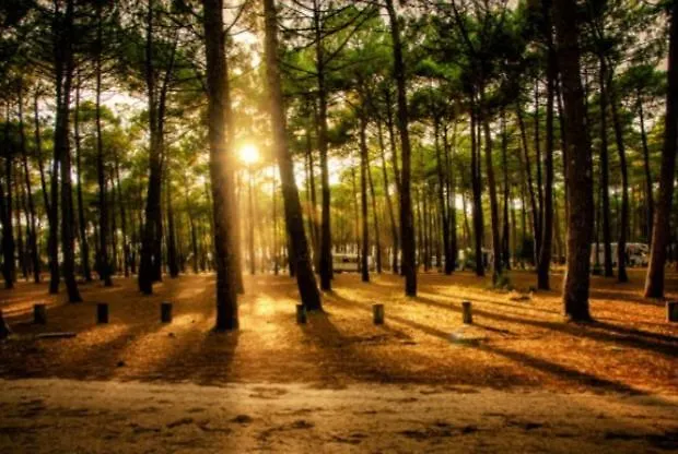 بيت للعطل Chalet