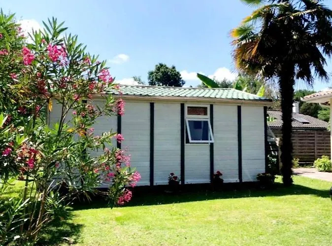 Chalet بيت للعطل Narrosse