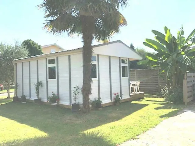 Chalet بيت للعطل Narrosse